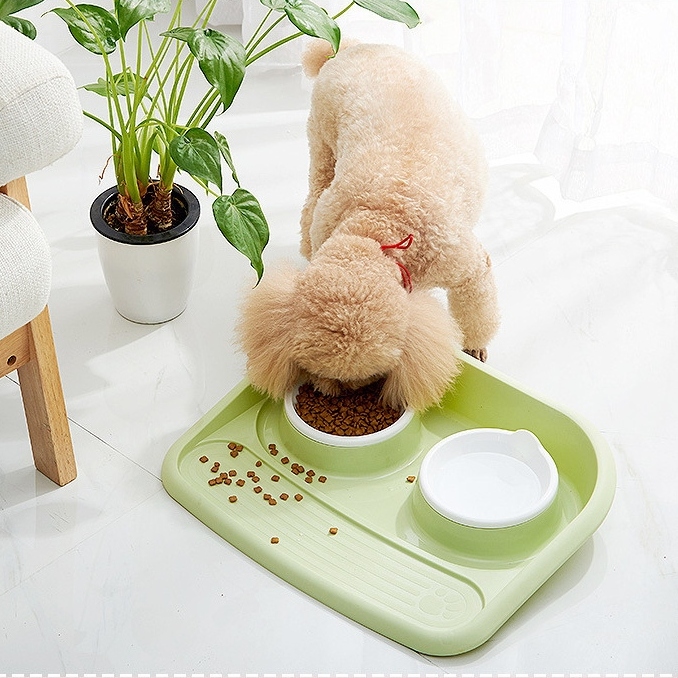 四色選べる エサ入れ 食器 食べやすい ご飯 皿 食器台 ペット用品 犬 ネコ ペット用食器